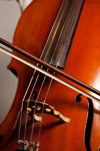 Playing the cello - Фото, зображення