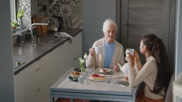 Plan grand angle de femme âgée et travailleuse sociale buvant du thé avec du gâteau et parlant tout en passant du temps libre ensemble à la maison - Séquence, vidéo