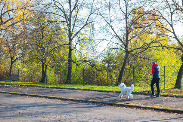 A man walks with a white dog in the park. High quality photo - Photo, Image