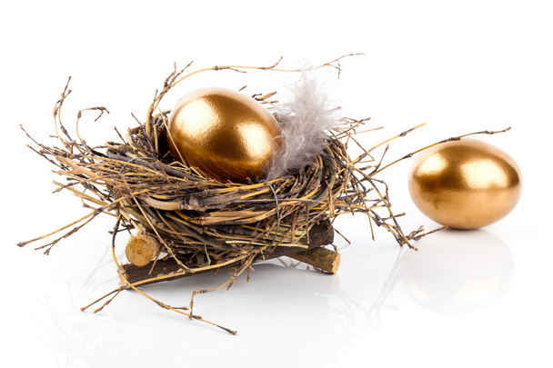 Golden egg in nest on white background - 写真・画像
