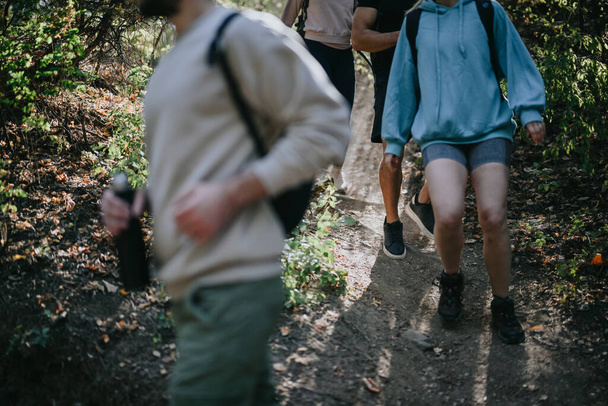 Ystävät vaeltavat rehevän metsän läpi, nauttien aktiivisesta keskustelusta vuorilla. Syleillen seikkailunhaluista vapaapäivää, he tutkivat vihreää erämaata, luoden kestäviä muistoja vuorelle.. - Valokuva, kuva