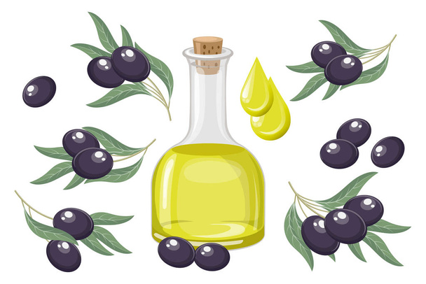 Conjunto de aceitunas negras. Aceite de oliva, gotas de aceite y ramitas con aceitunas y hojas. Ilustración de alimentos, vector - Vector, imagen