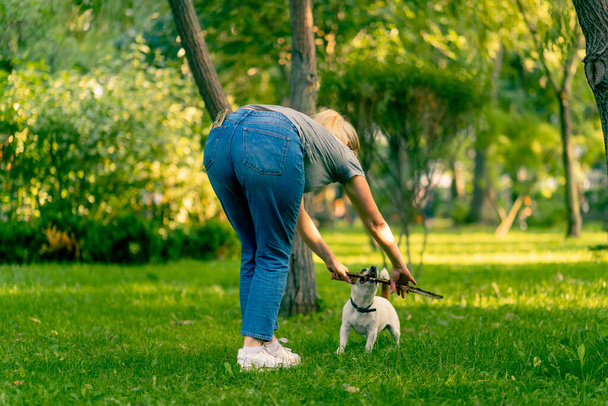 omistaja pieni hauska aktiivinen jack russell koira leikkii sen kanssa kaupungin puistossa heittää kiinni eläimeen - Valokuva, kuva