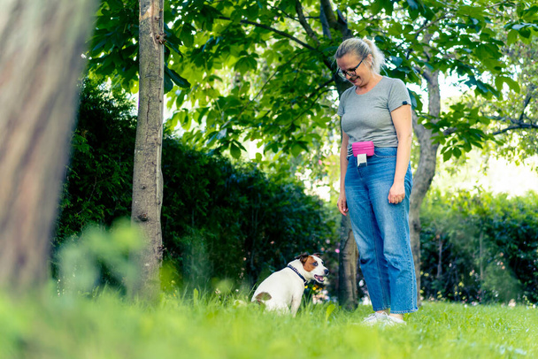 zoopsycholog pracuje z małym Jackiem Russellem Terrierem w parku socjalizuje psa - Zdjęcie, obraz
