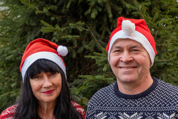 familie in santa claus rode hoeden staan in de buurt van een groene kerstboom. Gelukkig nieuwjaar, vrolijk kerstfeest. Middelbare leeftijd in hun vijftigste man en vrouw dragen feestelijke trui kleding. Oud echtpaar wachten op wintervakantie  - Foto, afbeelding