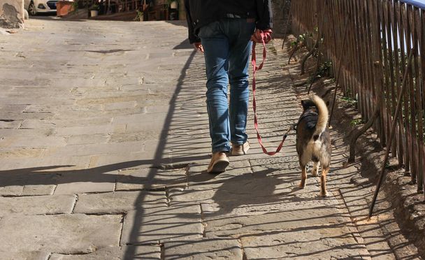 Ноги чоловіка, що йде з собакою на тлі міста - Фото, зображення