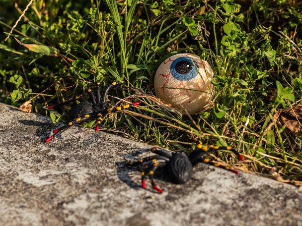 Straszna halloweenowa scena ze sztucznym okiem i dwoma sztucznymi pająkami w trawie w pobliżu wietrznej ściany - Zdjęcie, obraz