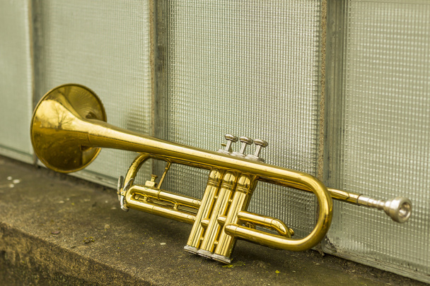 Vanha trumpetti ikkunat
 - Valokuva, kuva