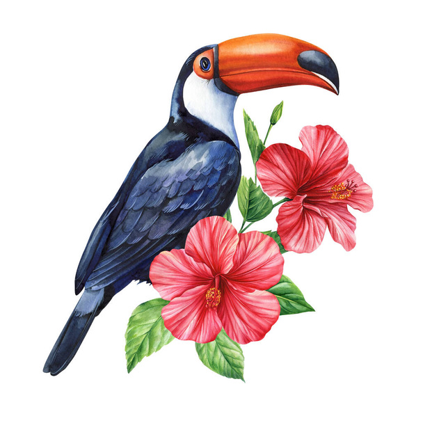 Тропічний акварельний птах. Тукан, квіти і листя. Екзотичний птах ізольований на білому тлі. Ботанічна ілюстрація. Високоякісна ілюстрація - Фото, зображення