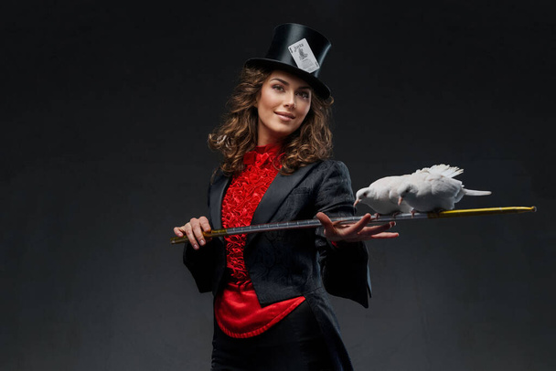 魔術師の服装と黒いトップハットで女性の魔術師のイメージを魅了し,神秘的な暗い背景に対して優雅な白い鳩で彼女の魔法のスキルを披露 - 写真・画像