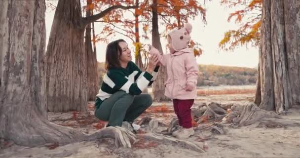 Gelukkig moeder met haar schattige kind meisje wandelen en spelen in een herfstpark. Klein meisje en moeder loopt in het bos - Video