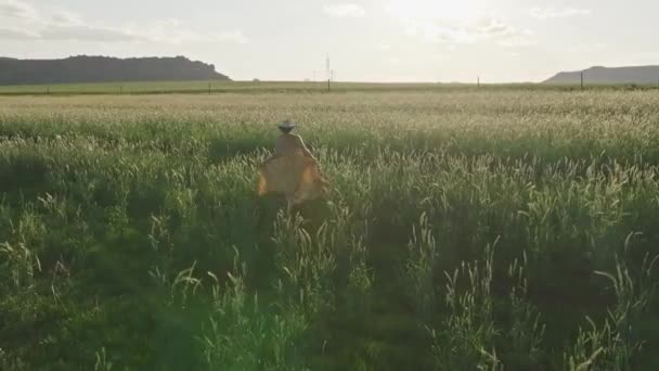 Una modelo femenina en un vestido amarillo que fluye caminando a través de un campo de hierba en la tarde. Su vestido se mueve en el viento y la luz del sol se filtra maravillosamente a través de la hierba - Metraje, vídeo
