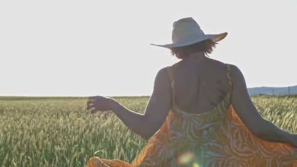 Kobieta modelka w płynącej żółtej sukience spacerująca po polu trawy późnym popołudniem. Jej sukienka porusza się na wietrze, a światło słoneczne pięknie przenika przez trawę. - Materiał filmowy, wideo