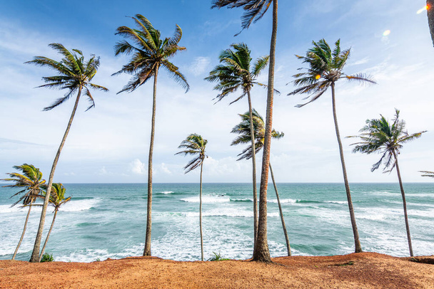vista panorámica de la playa de mirissa, sri lanka - Foto, imagen
