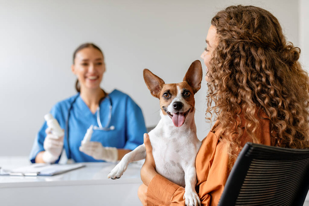 Happy Jack Russell Terrier with curly-haired owner receiving care from smiling female veterinarian in a clinic, talking while sitting at table - Photo, Image