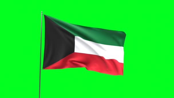 Yeşil arkaplanda Kuveyt bayrağı, bayrak döngüsü videosu - Video, Çekim