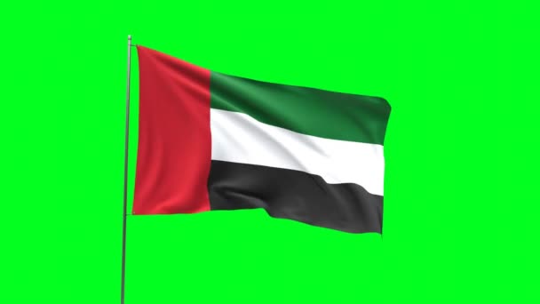 Flagge der Vereinigten Arabischen Emirate auf grünem Hintergrund, Fahnenschleifen-Video - Filmmaterial, Video