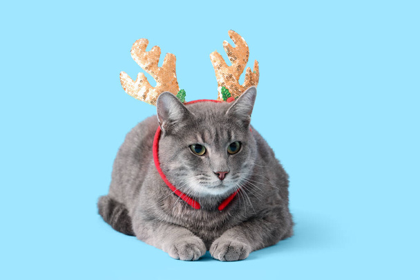 Cute cat with reindeer horns on blue background - Photo, Image