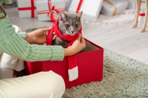 Noel arifesinde evde hediye kutusunda sevimli kedisi olan bir kadın, yakın plan. - Fotoğraf, Görsel