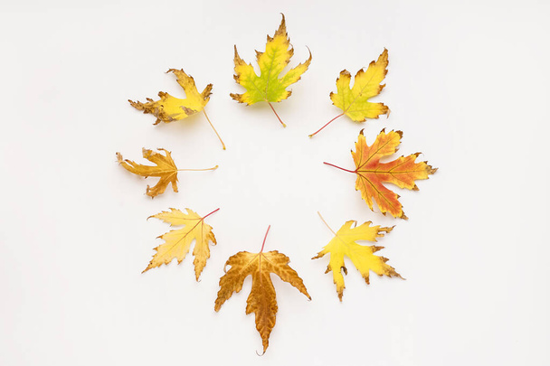 Frame made of autumn leaves on white background - Photo, Image