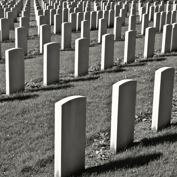 Cementerio militar
 - Foto, Imagen