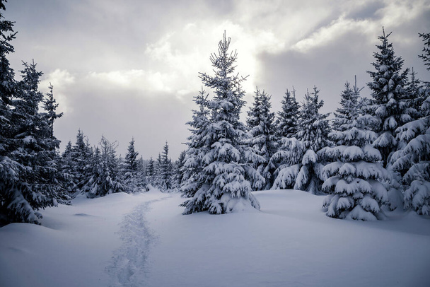 χειμερινό τοπίο στα βουνά - Φωτογραφία, εικόνα