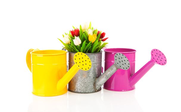 Three watering can with colorful tulips - Fotó, kép