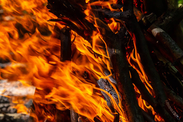 Φωτιά από κάρβουνο. Εστία για μαγείρεμα και θέρμανση. Κίνδυνος στο δάσος. - Φωτογραφία, εικόνα