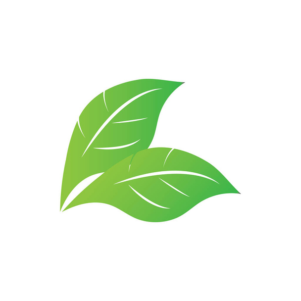 Yaprak yeşil logo ve sembol vektör şablonu - Vektör, Görsel