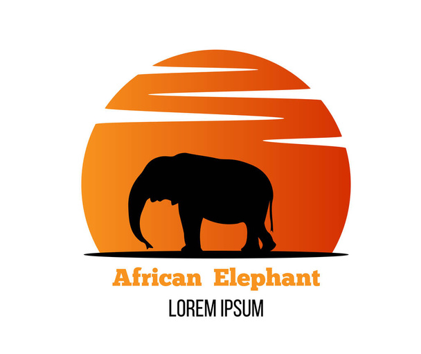 Silueta de elefante africano al amanecer. Vida silvestre y naturaleza concepto vector arte - Vector, Imagen