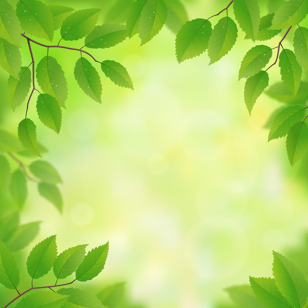Весняне зелене листя
 - Вектор, зображення