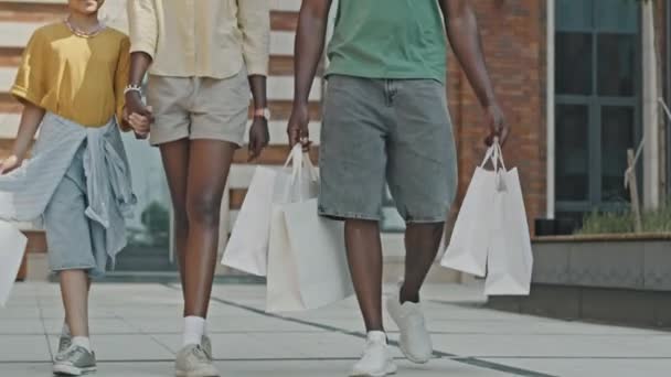Tilt up αργή mo πλάνο της Αφρικής Αμερικανός γυναίκα κρατώντας το χέρι με μικρή κόρη και κουβεντιάζοντας με το σύζυγό μεταφέρουν χάρτινες σακούλες, ενώ το περπάτημα μαζί σε εξωτερικούς χώρους μετά τα ψώνια της οικογένειας - Πλάνα, βίντεο