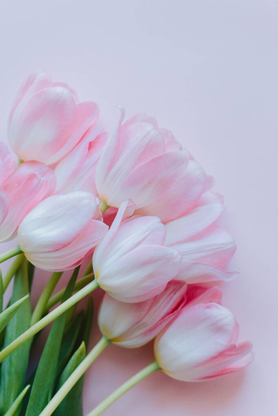 Beautiful bouquet of pink pastel tulip flowers. Place for text. - Photo, Image