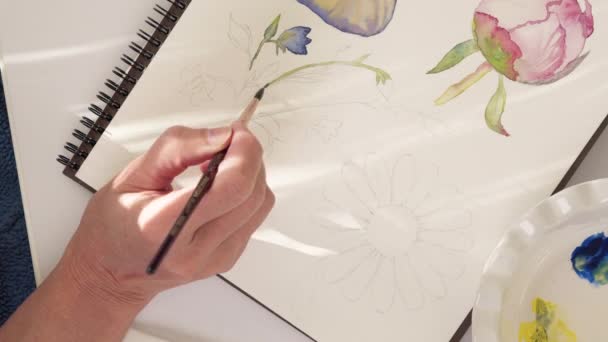 Pintura aquarela, desenho de flores, close-up de vídeo. Arte, aprender a desenhar, conceito de hobby - Filmagem, Vídeo