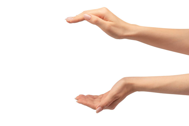 Το χέρι μιας γυναίκας κρατά ένα μικροσκοπικό ή λεπτό αντικείμενο, απομονωμένο σε λευκό φόντο. - Φωτογραφία, εικόνα