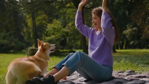 Ευτυχισμένο κορίτσι γέλιο σε ακουστικά θηλυκό χειριστή παίζει με το κουτάβι σε εξωτερικούς χώρους νεαρή γυναίκα εκπαιδευτής ζώων άσκηση σκυλί στο πάρκο της πόλης χαριτωμένο μικρό welsh corgi αναμονή εντολή κατάρτισης με doggie αντιμετωπίζει - Πλάνα, βίντεο