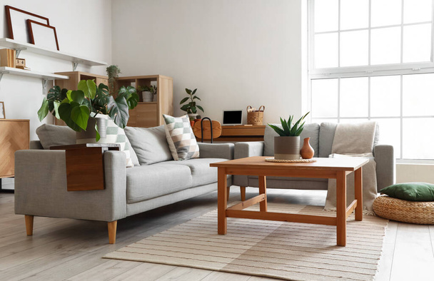 Belső tér világos nappali kanapéval és Monstera szobanövény - Fotó, kép