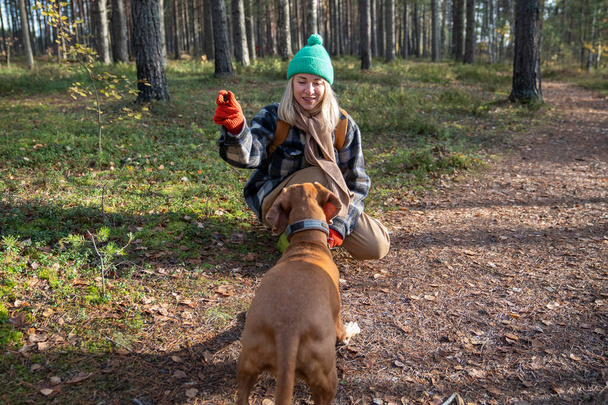Mosolygó középkorú kisállat tulajdonos érdekelt kutya képzés időtöltés fenyőerdőben. Skandináv kinézetű, játékba merülő nő, aki parancsokat ad a pedigree magyar vizsla kiskutyának - Fotó, kép