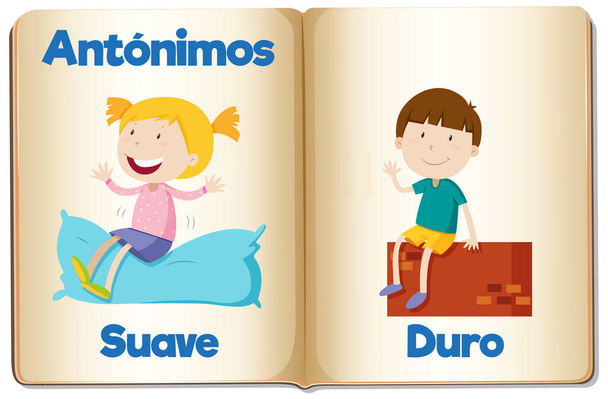 Vektorová kreslená ilustrace měkkých a tvrdých antonym ve španělštině - Vektor, obrázek