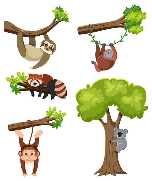 Группа диких животных, висящих вместе на ветвях деревьев - Вектор,изображение