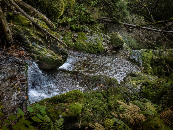 Imagen de Lazar Valley (Valea Lazarului) gorge, Hunedoara County, Romania - Foto, imagen