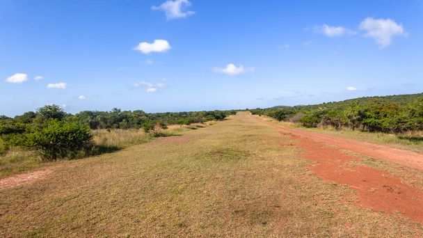 Private Grass Airfield Strip Start-en landingsbaan voor lichte vliegtuigen in ruige natuur wildernis landschap. - Foto, afbeelding