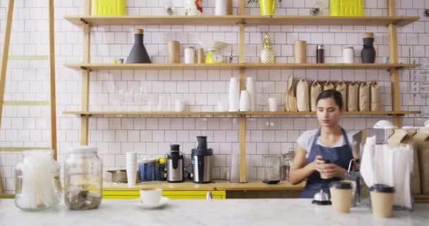 Woman, coffee shop and waiter serving customer with takeaway cup and cellphone. Service, business owner and working with people, worker and apron for restaurant, phone review and female barista. - Footage, Video