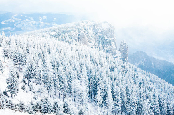 winterlandschap met besneeuwde dennenbomen in de bergen - Foto, afbeelding