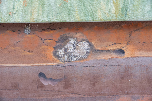 Muurgraffiti van de basis van een hoogbouw met beschilderde bruine aardlagen en een familie muizen in hun ondergrondse hol met korenoren, beschilderd in silicaatverf, kopieerruimte - Foto, afbeelding