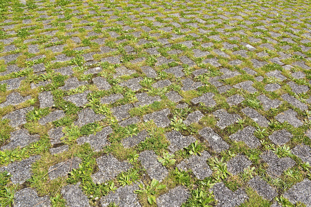 Concrete flooring blocks with grass permeable to rain water as required by the building laws used for trowalks and parking areas - permeable interlocking concrete pavers - PICP - Фото, изображение