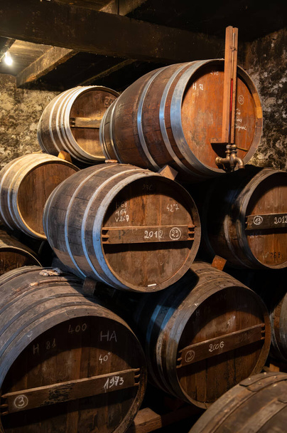 蒸留所,コニャックの白ワイン地域,シャレンテ,セゴンザック,グランドシャンパン,フランスでセラーで古いダークフランスのオーク樽でコニャック精神の老化プロセス - 写真・画像