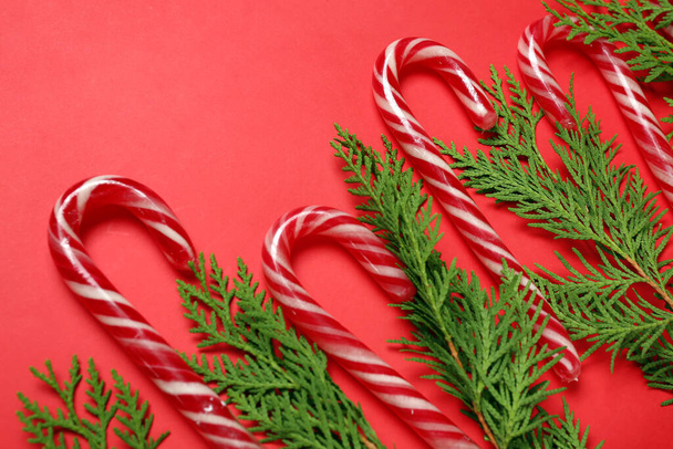 Різдвяні цукерки та хвойні гілки на червоному тлі - Фото, зображення
