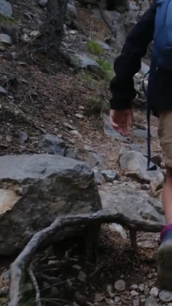 vista posteriore del ragazzo sul sentiero di montagna nella foresta estiva - Filmati, video