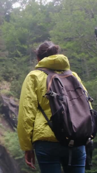 mujer excursionista en el sendero en las montañas mirando cascada  - Metraje, vídeo